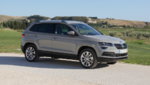 SkodaKaroq_SteelGrey_1_5TSI019.jpg
