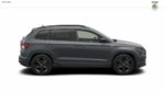 Karoq Sportline.jpg