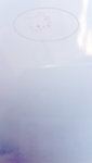 20190214_105422.jpg