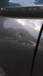 IMG-20191012-WA0004.jpeg