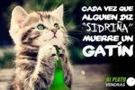 gatin-360x240.jpg
