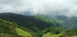 20200608_124954.jpg