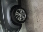 IMG_6754.jpeg