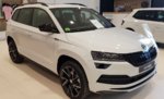 Skoda2.jpg