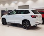 Skoda1.jpg