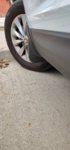 IMG20201020092639.jpg