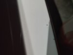 IMG_20210625_163432.jpg