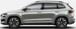 lateral miran.PNG