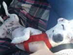 IMG-20180516-WA0001.jpg