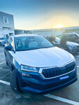 skoda karoq.jpg