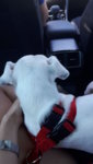 IMG-20180617-WA0008.jpeg