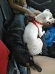 IMG-20180902-WA0088.jpg