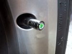 tapones.jpg