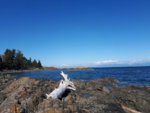 20180903_133508.jpeg